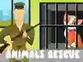 游戏動物救援在线 游戏動物救援在线