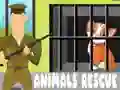 游戏動物救援在线 游戏動物救援在线