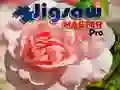 游戏拼圖大師專業版在线 游戏拼圖大師專業版在线