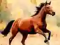 游戏馬滑梯在线 游戏馬滑梯在线