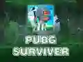 游戏PUBG 生還者在线 游戏PUBG 生還者在线