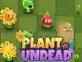 游戏植物與不死生物在线