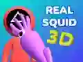 游戏真實章魚 3D在线 游戏真實章魚 3D在线