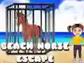 游戏沙灘馬逃脫在线 游戏沙灘馬逃脫在线