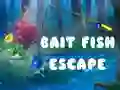 游戏誘餌魚逃脫在线 游戏誘餌魚逃脫在线