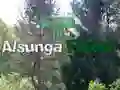 游戏返回阿爾松加森林在线 游戏返回阿爾松加森林在线
