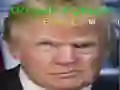 游戏特朗普搞笑臉在线 游戏特朗普搞笑臉在线