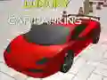 游戏豪華車停車在线 游戏豪華車停車在线