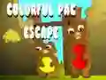 游戏彩色Pac逃脫在线