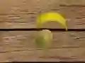 游戏水果射擊在线