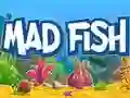 游戏瘋魚在线