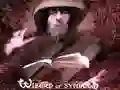 游戏符號巫師在线 游戏符號巫師在线
