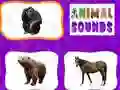 游戏動物聲音在线