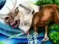 游戏女孩動物救援在线 游戏女孩動物救援在线