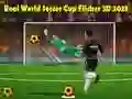 游戏真實世界足球杯 Flicker 3D 2023在线