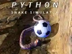 游戏Python 蛇模擬器在线 游戏Python 蛇模擬器在线