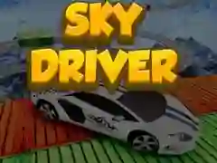 游戏天空駕駛者在线 游戏天空駕駛者在线