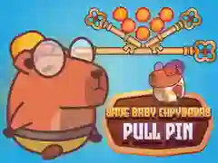 游戏拯救小水豚 Pull Pin在线 游戏拯救小水豚 Pull Pin在线