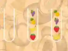 游戏水果分類大師在线 游戏水果分類大師在线