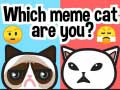 游戏你是哪隻迷因貓？在线