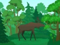 游戏野生動物著色在线