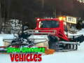 游戏雪地整理車輛在线