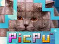 游戏PicPu 貓在线