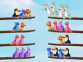 游戏鳥類分類拼圖在线