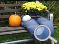 游戏秋季花園: 找到100隻蝴蝶在线