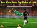 游戏真實世界足球杯 Flicker 3D 2023在线